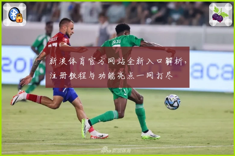 新浪体育官方网站全新入口解析,注册教程与功能亮点一网打尽