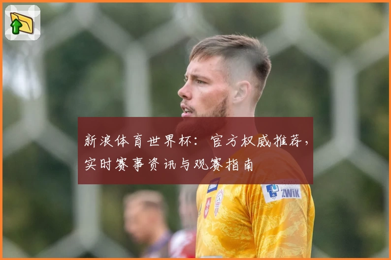 新浪体育世界杯：官方权威推荐，实时赛事资讯与观赛指南