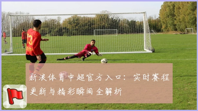 新浪体育中超官方入口：实时赛程更新与精彩瞬间全解析