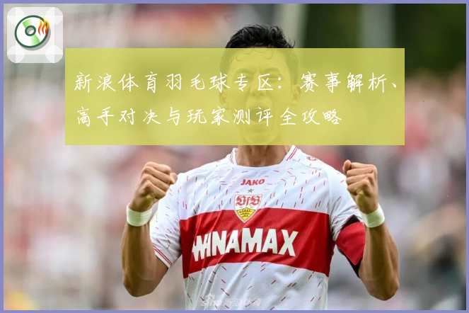新浪体育羽毛球专区:赛事解析、高手对决与玩家测评全攻略