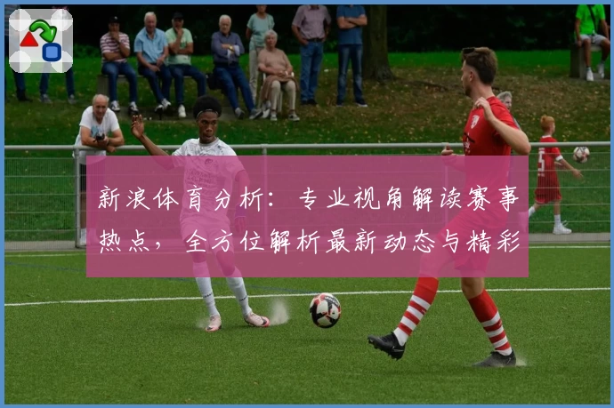 新浪体育分析：专业视角解读赛事热点，全方位解析最新动态与精彩亮点