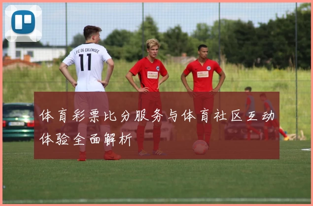 体育彩票比分服务与体育社区互动体验全面解析