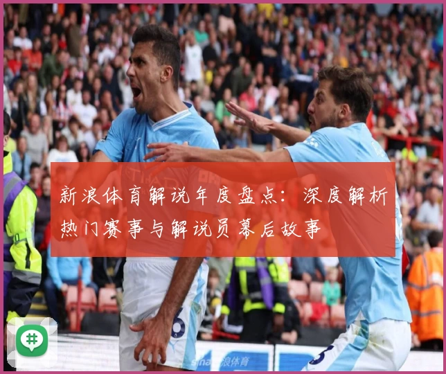 新浪体育解说年度盘点：深度解析热门赛事与解说员幕后故事