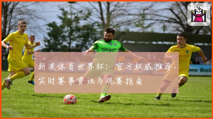 新浪体育世界杯：官方权威推荐，实时赛事资讯与观赛指南