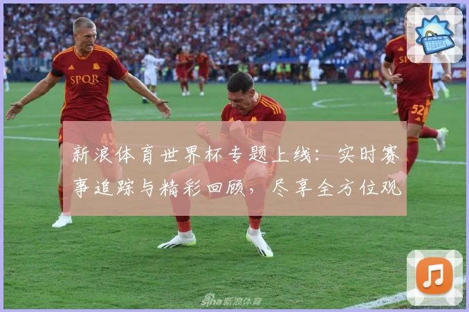 新浪体育世界杯专题上线：实时赛事追踪与精彩回顾，尽享全方位观赛体验