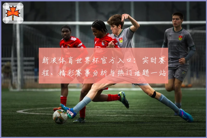 新浪体育世界杯官方入口：实时赛程、精彩赛事分析与热门话题一站尽享