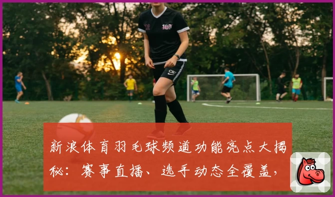 新浪体育羽毛球频道功能亮点大揭秘：赛事直播、选手动态全覆盖，爱好者必看！