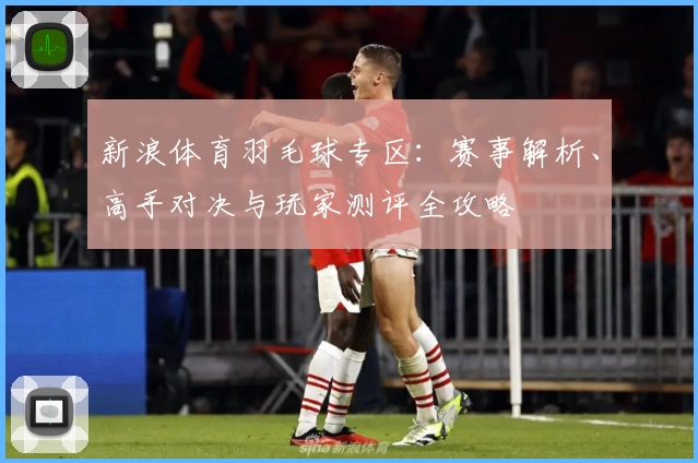 新浪体育羽毛球专区：赛事解析、高手对决与玩家测评全攻略