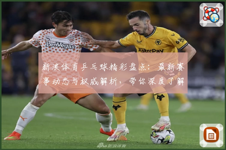 新浪体育乒乓球精彩盘点：最新赛事动态与权威解析，带你深度了解乒乓球世界